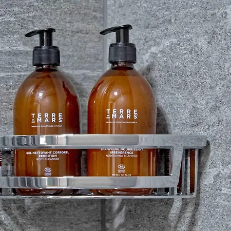 Bank House M 302 - Griwa Rent * Interlaken